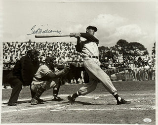 Ted Williams Autographed 16x20 Baseball Photo (JSA)