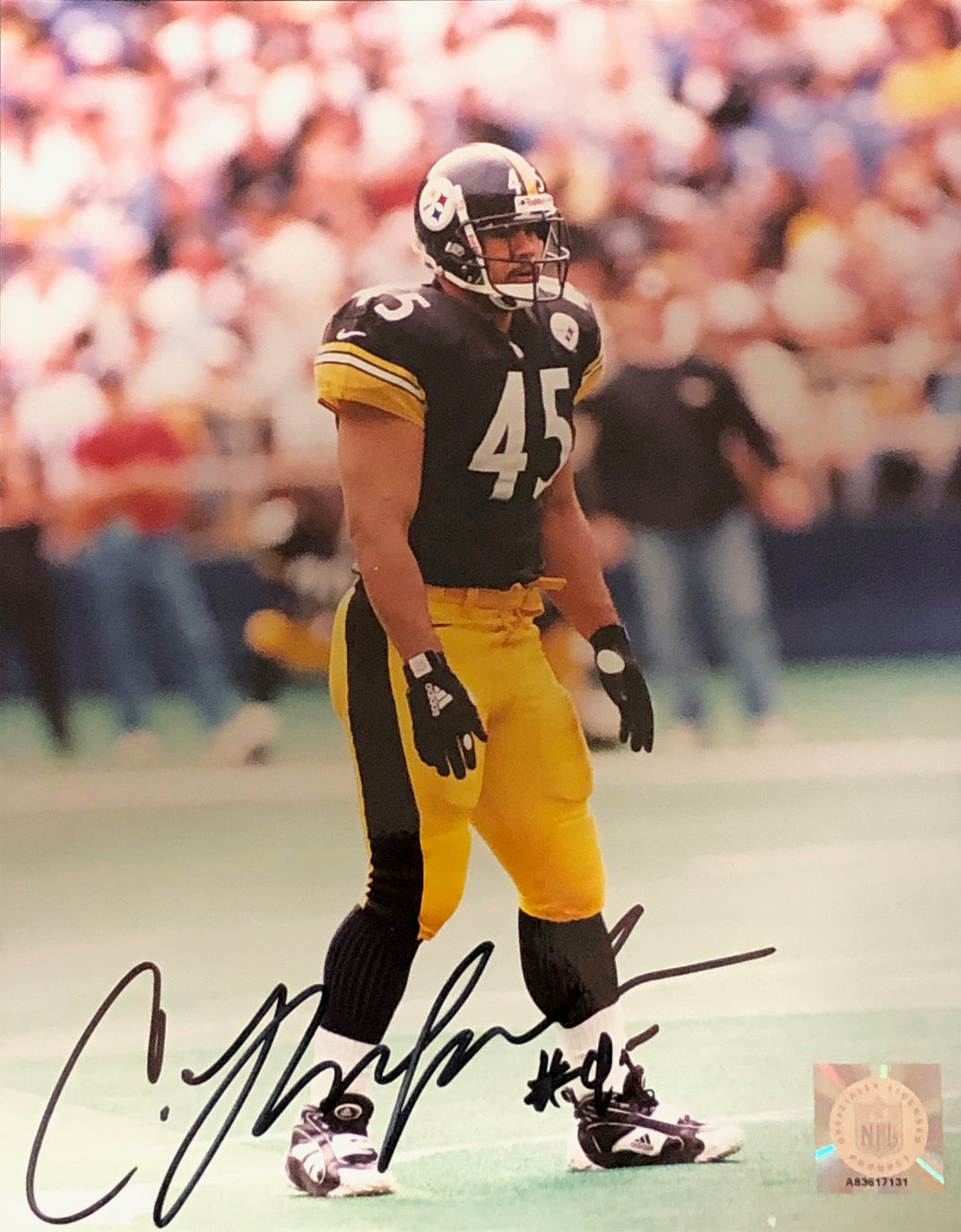 Chris Fuamatu Ma''afala of the Pittsburgh Steelers walks off the