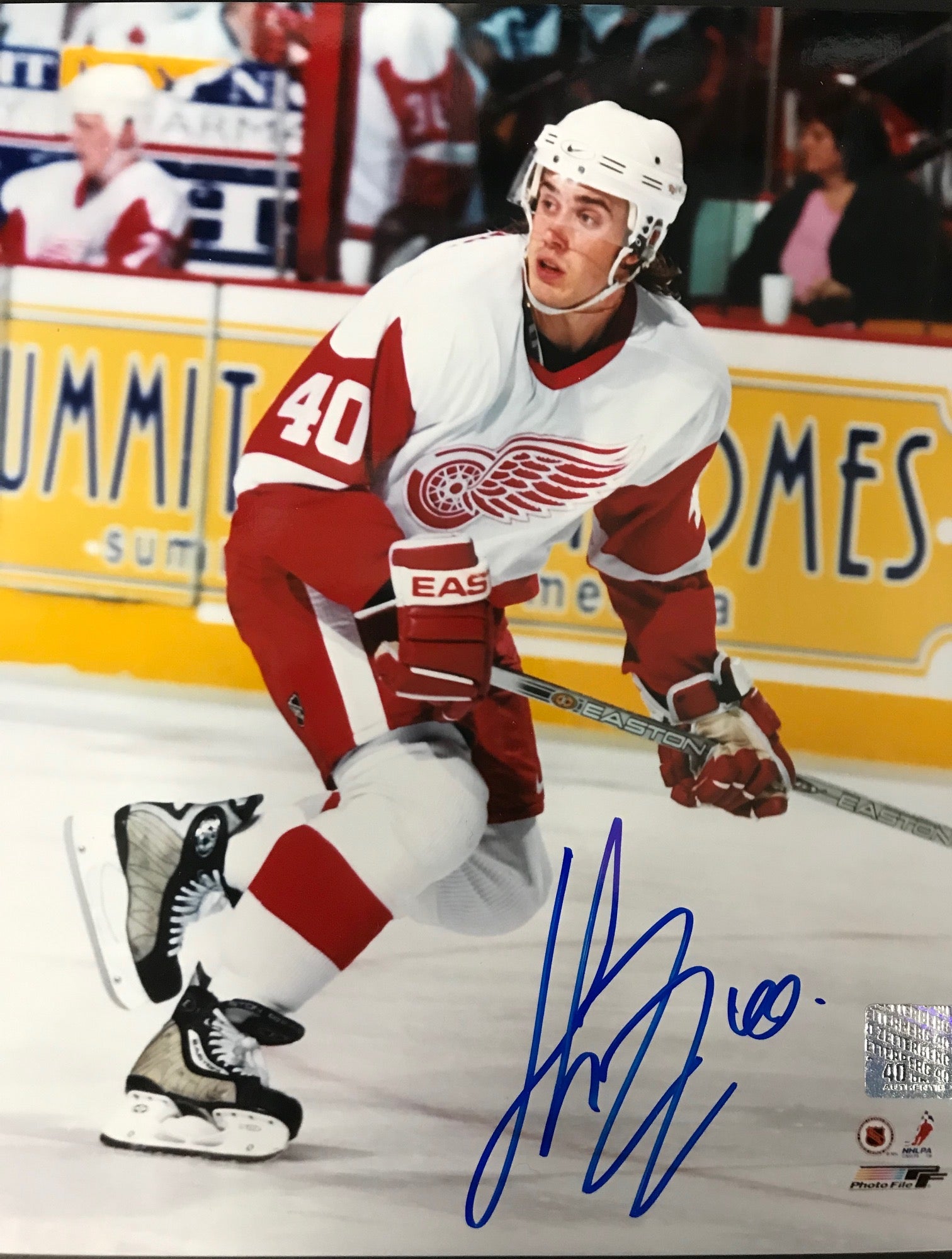 Henrik Zetterberg Autographed 8x10 Photo Detroit Red Wings | Hollywood