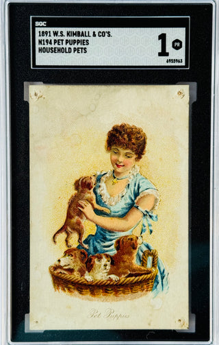 1891 W.S. Kimball & Co's N194 Pet Puppies Household Pets SGC 1