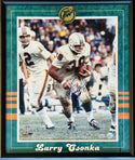 Larry Csonka Autographed Framed 16x20 Photo (Mounted Memories)
