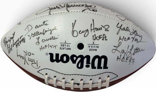Pro Football Hall Of Fame Signed Wilson Football Classic Enshrinee Golf VIII