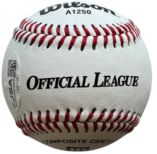 Mike Piazza Autographed Official League Wilson Baseball (JSA)