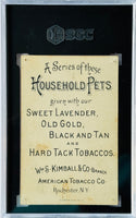 1891 W.S. Kimball & Co's N194 Pet Puppies Household Pets SGC 1