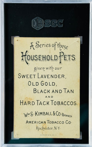1891 W.S. Kimball & Co's N194 Pet Puppies Household Pets SGC 1