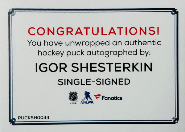 Igor Shesterkin New York Rangers Authentic Autographed Official Game Puck (Fanatics)