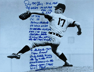 Denny McLain Autographed 11x14 Baseball Stat Photo