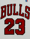 Michael Jordan Autographed Framed Chicago Bulls Nike Jersey (JSA)