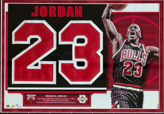 Michael Jordan Unsigned Retired Jersey Number Collection Framed Upper Deck (75/100)