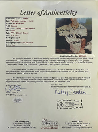 Mickey Mantle Autographed Framed 16x20 Gallo Baseball Photo (JSA)