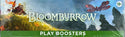 Magic the Gathering Bloomburrow Play Booster Box