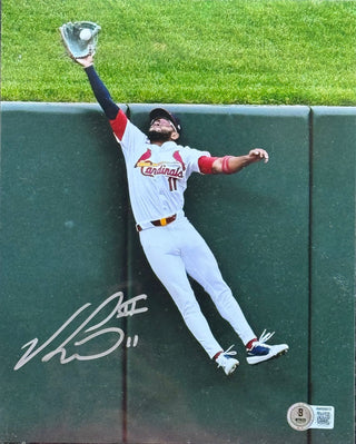 Victor Scott II Autographed 8x10 Cardinals Baseball Photo (Beckett Witness)