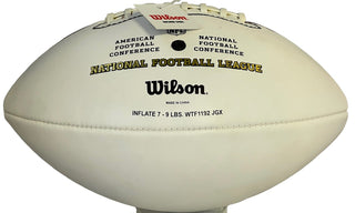 Jason Taylor Autographed Official White Panel Football
