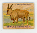 Eland Jungle Chewing Gum #2 Card