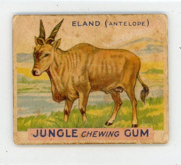 Eland Jungle Chewing Gum #2 Card