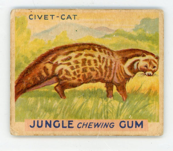 Civet Cat Jungle Chewing Gum #7 Card