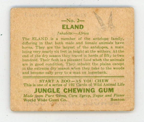 Eland Jungle Chewing Gum #2 Card