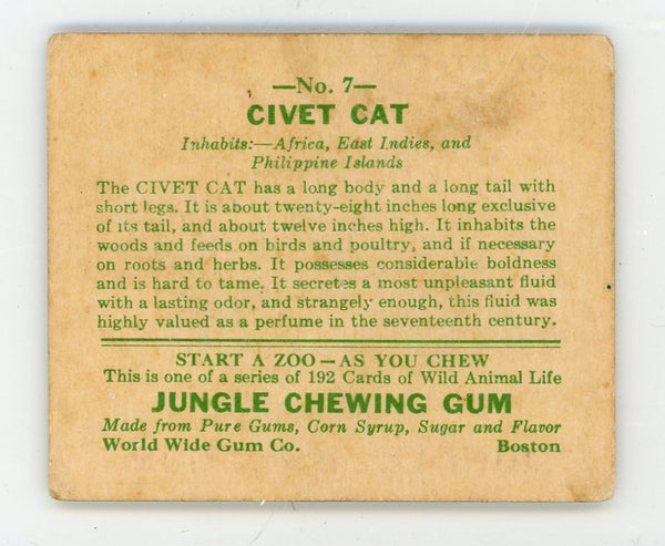 Civet Cat Jungle Chewing Gum #7 Card