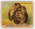 Chimpanzee Jungle Chewing Gum #4 Card