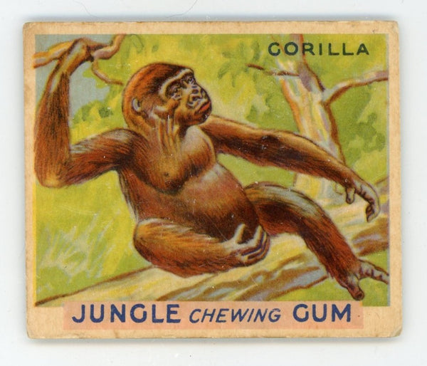 Gorilla Jungle Chewing Gum #8 Card