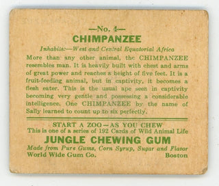 Chimpanzee Jungle Chewing Gum #4 Card