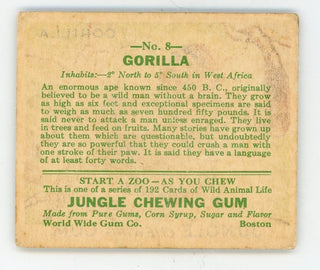 Gorilla Jungle Chewing Gum #8 Card