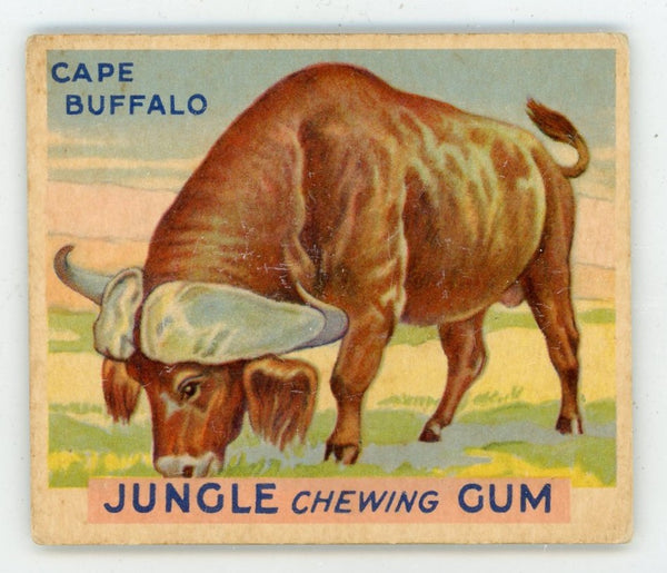 Cape Buffalo Jungle Chewing Gum #18 Card