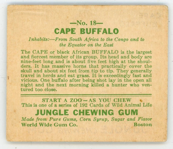 Cape Buffalo Jungle Chewing Gum #18 Card