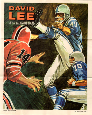 David Lee 1970 10 x 8 Poster #13