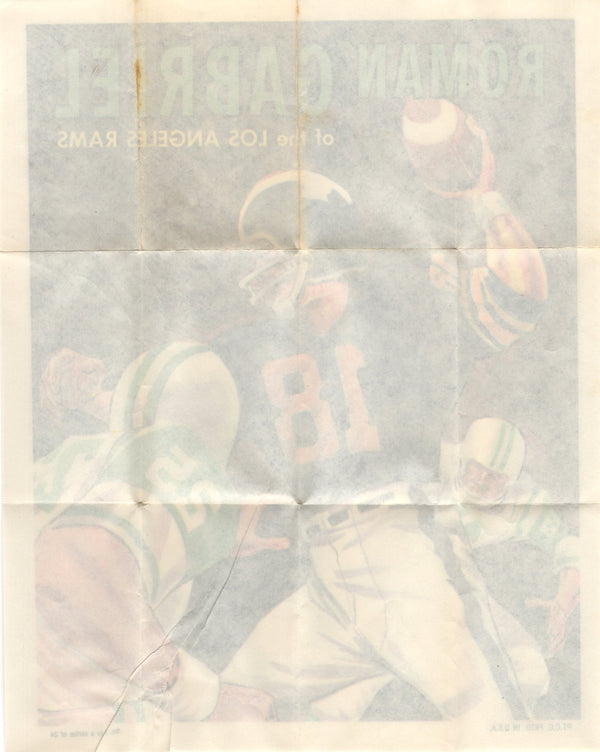 Roman Gabriel 1970 10 x 8 Poster #2