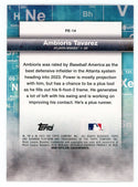 Ambioris Tavarez 2023 Topps Precious Element #PE-14