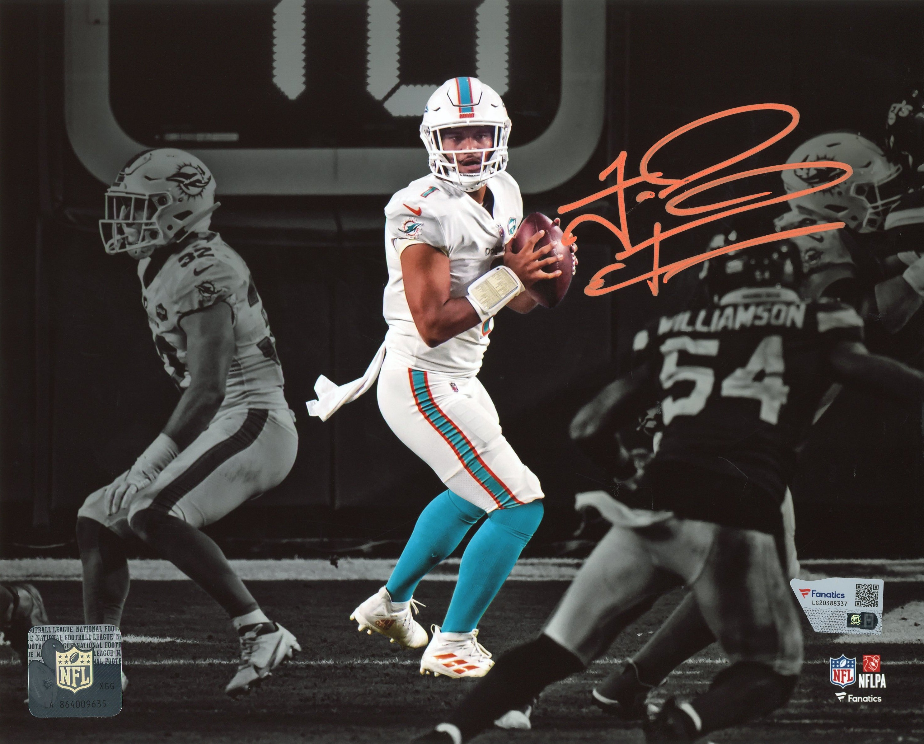 South Florida Sports Memorabilia Hollywood Collectibles