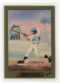 Marlins 1993 Powell Associates Precious Metal #0461 Card