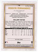 Junior Fernandez 2020 Topps Gallery Rookie Card #66