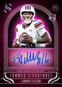 2025 Panini Silhouette Football Hobby Box