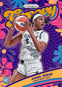 2024 WNBA Panini Prizm Basketball Hobby Box