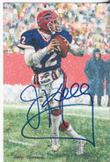 Jim Kelly 2002 Hall of Fame Art Collection Autographed Picture (JSA Authenticated)