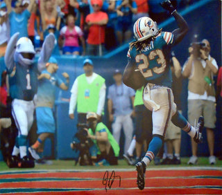 Jay Ajayi Autographed Celebrating after Scoring a Touchdown vs The Buffalo Bills 16x20 Photo