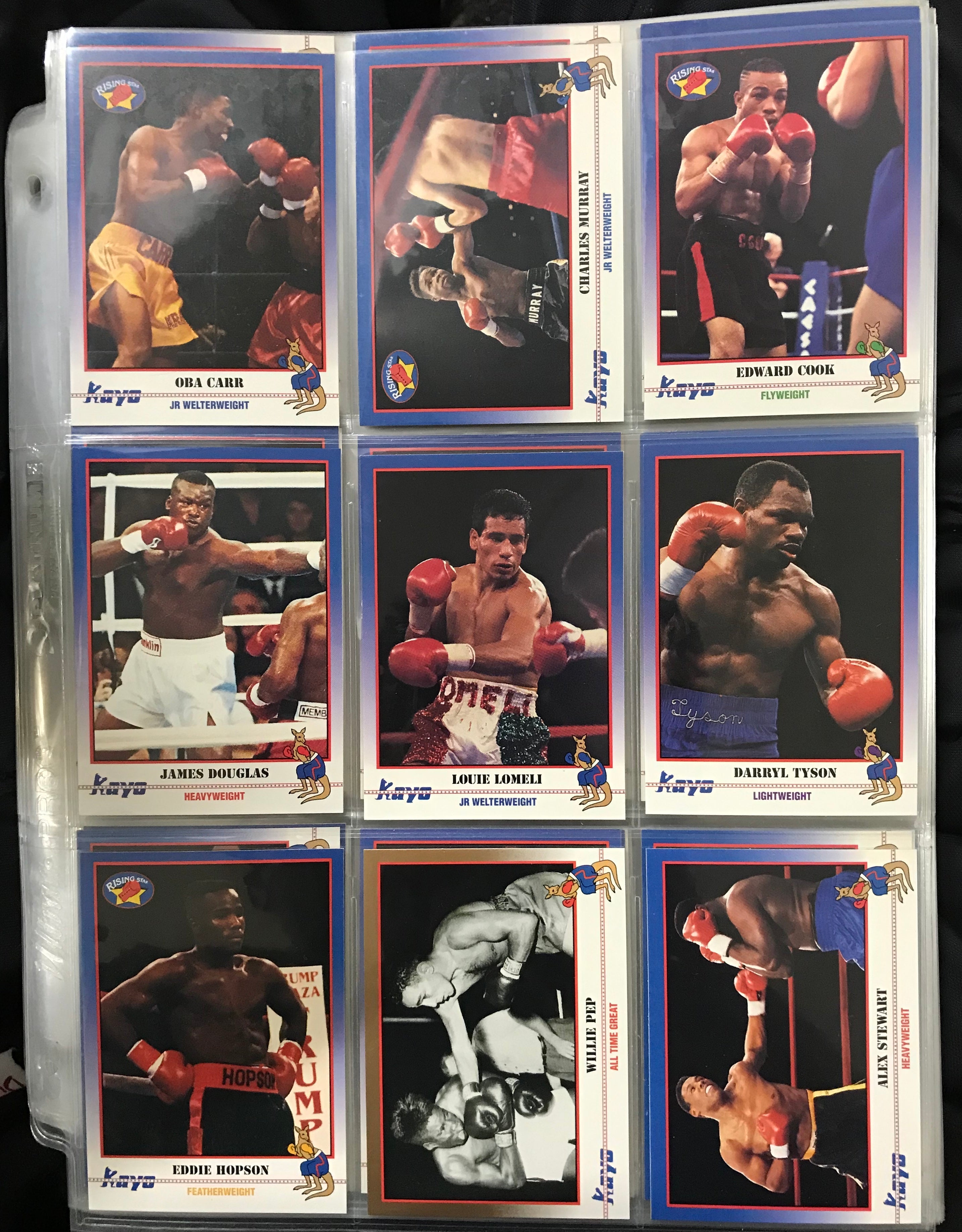 1991 Kayo Boxing Complete Set (Without Binder) Hollywood Collectibles