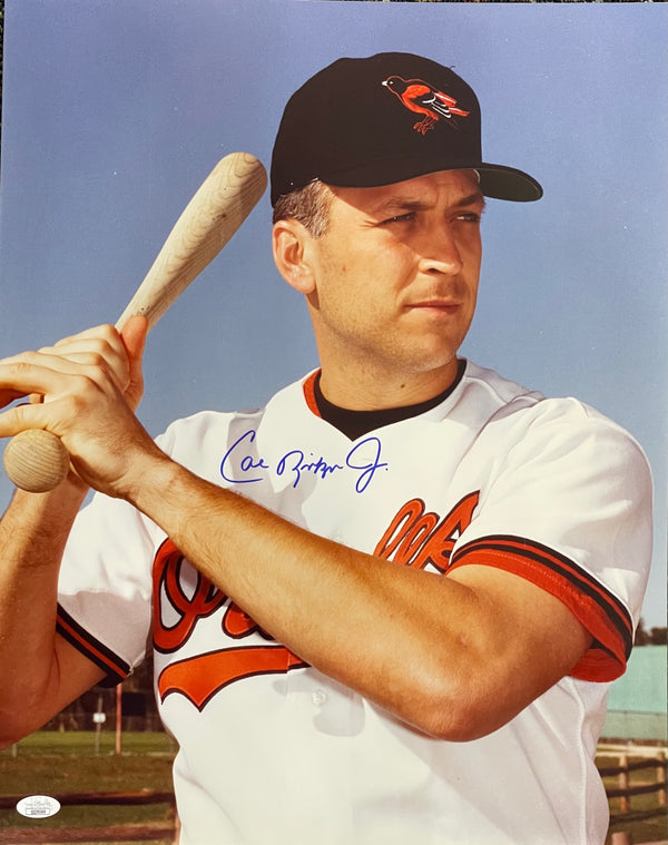 Cal Ripken Jr Autographed 16x20 Baseball Photo (JSA)