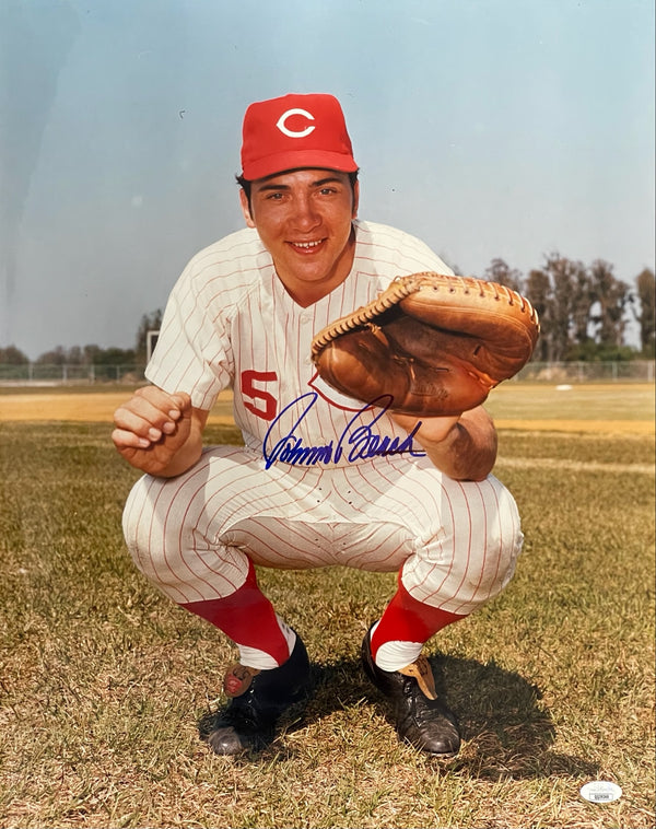 Johnny Bench Autographed 16x20 Baseball Photo (JSA)