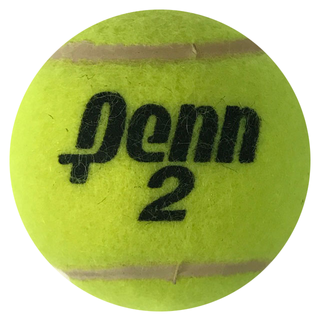 Sjeng Schalken Autographed Penn 2 Tennis Ball