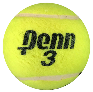 Brenda Schultz McCarthy Autographed Penn 3 Tennis Ball