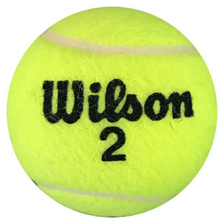 Mary Jo Fernandez Autographed Wilson 2 Tennis Ball