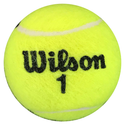 Arantxa Sanchez Vicario Autographed Wilson 1 Tennis Ball