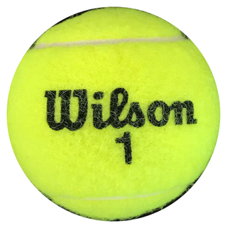 Monica Seles Autographed Wilson 1 Tennis Ball