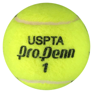 Elena Dementieva Autographed USPTA Pro Penn 1 Tennis Ball (JSA)