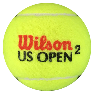 Melanie Oudin Autographed Wilson US Open 2 Tennis Ball