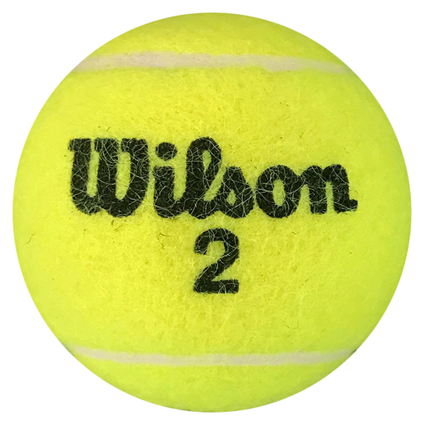 Ally Baker Autographed Wilson 2 Tennis Ball