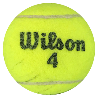 Wayne Ferreira Autographed Wilson 4 Tennis Ball